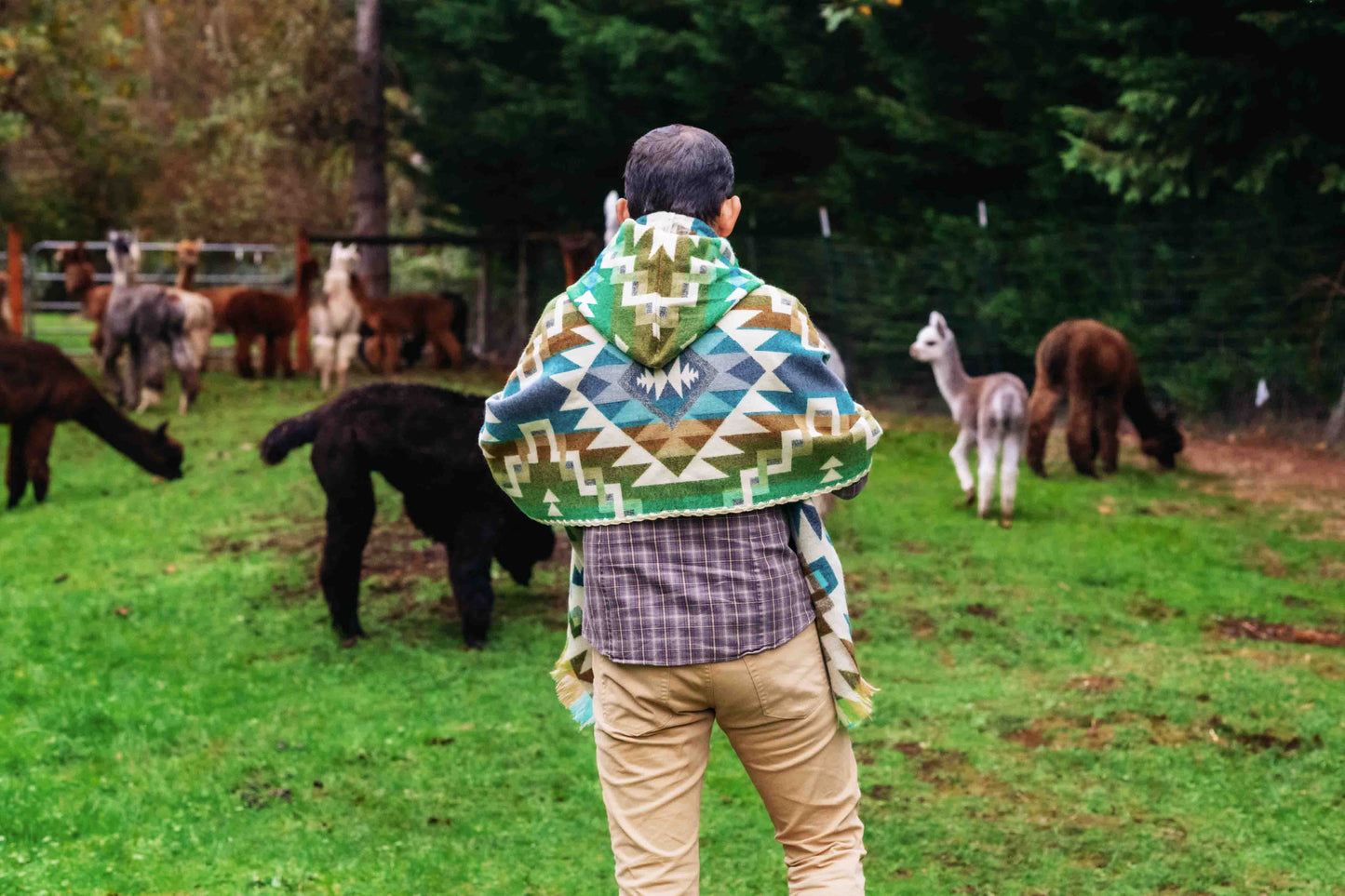 Jungle - Hooded Shawl - Alpaca Shawl Poncho