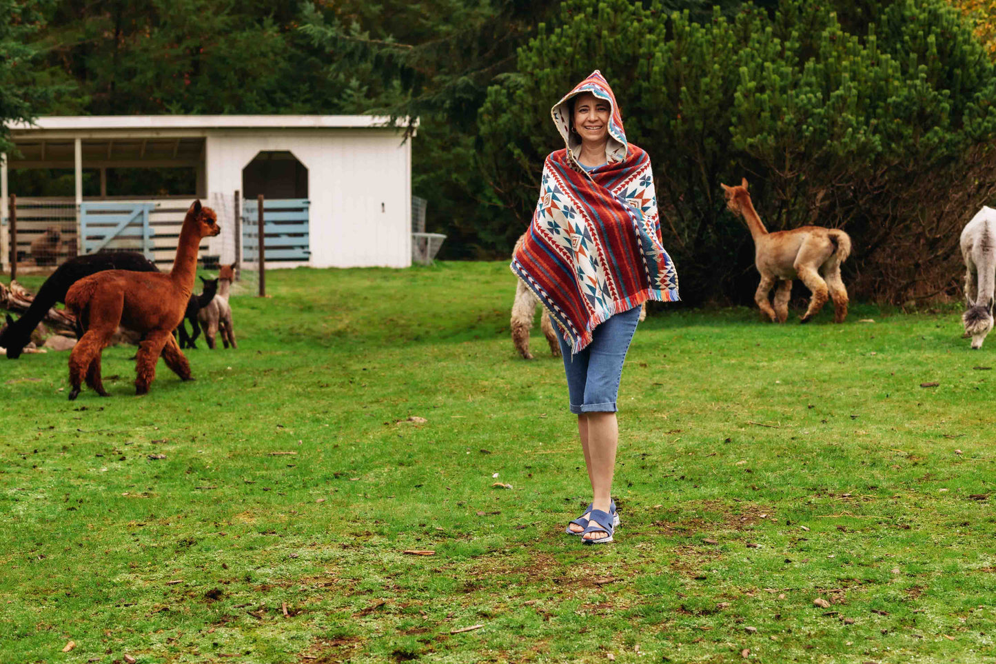 Arequipa - Landscape - Hooded Shawl - Alpaca Shawl Poncho